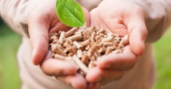 Czy pelletem można palić w kominku? Odkryj bezpieczeństwo i efektywność