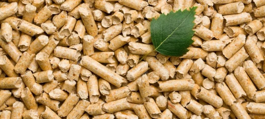 Jak produkować pellet: Kluczowe materiały i maszyny, które musisz znać